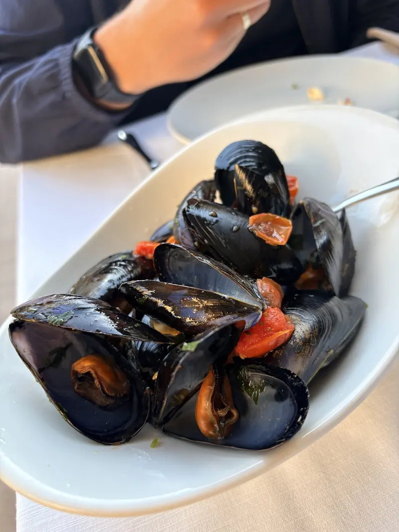 Sautéed mussels with cherry tomatoes